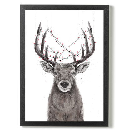 Xmas Deer by Balazs Solti
