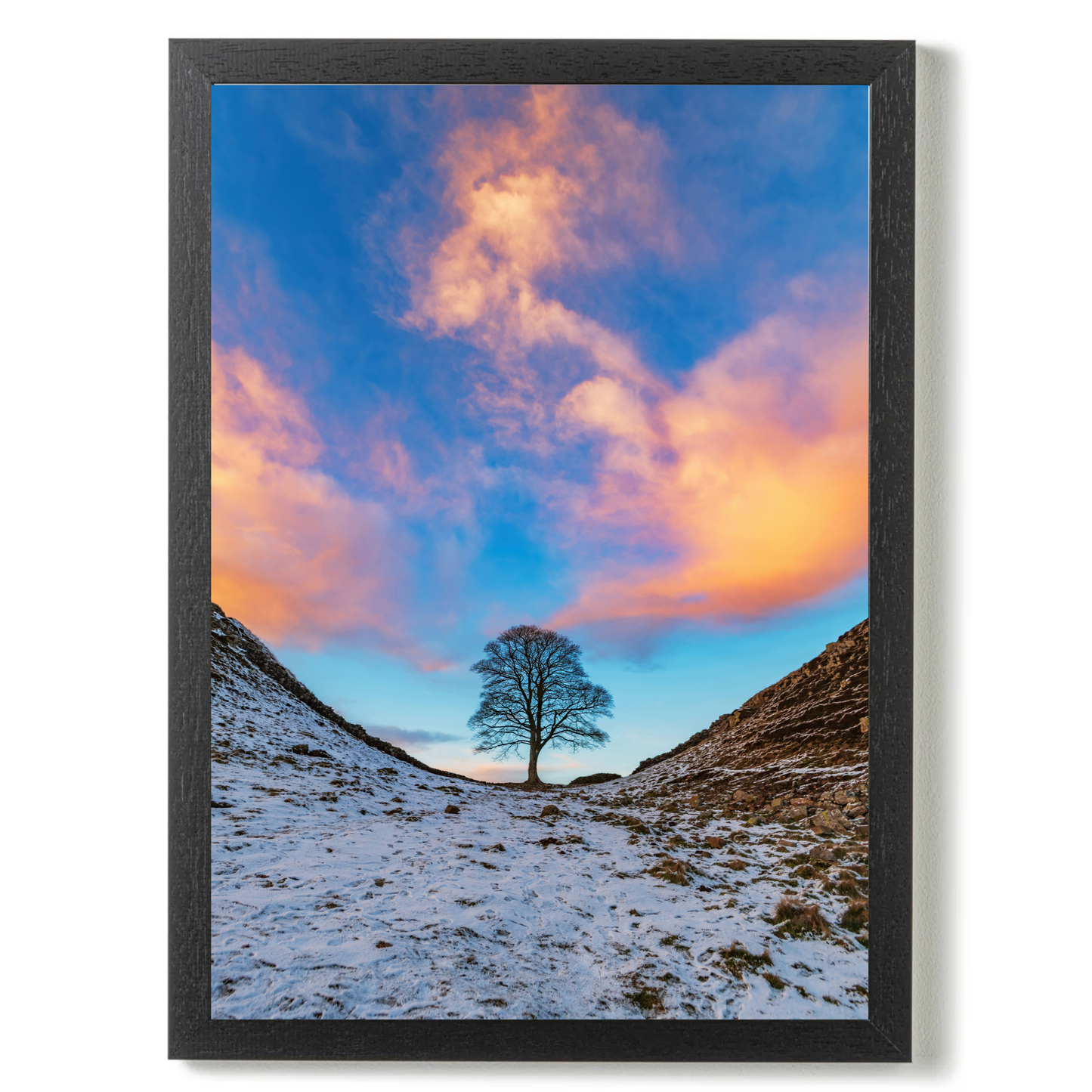 Sycamore Gap In the Golden Hour by Steven Robinson