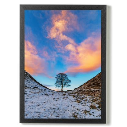 Sycamore Gap In the Golden Hour by Steven Robinson