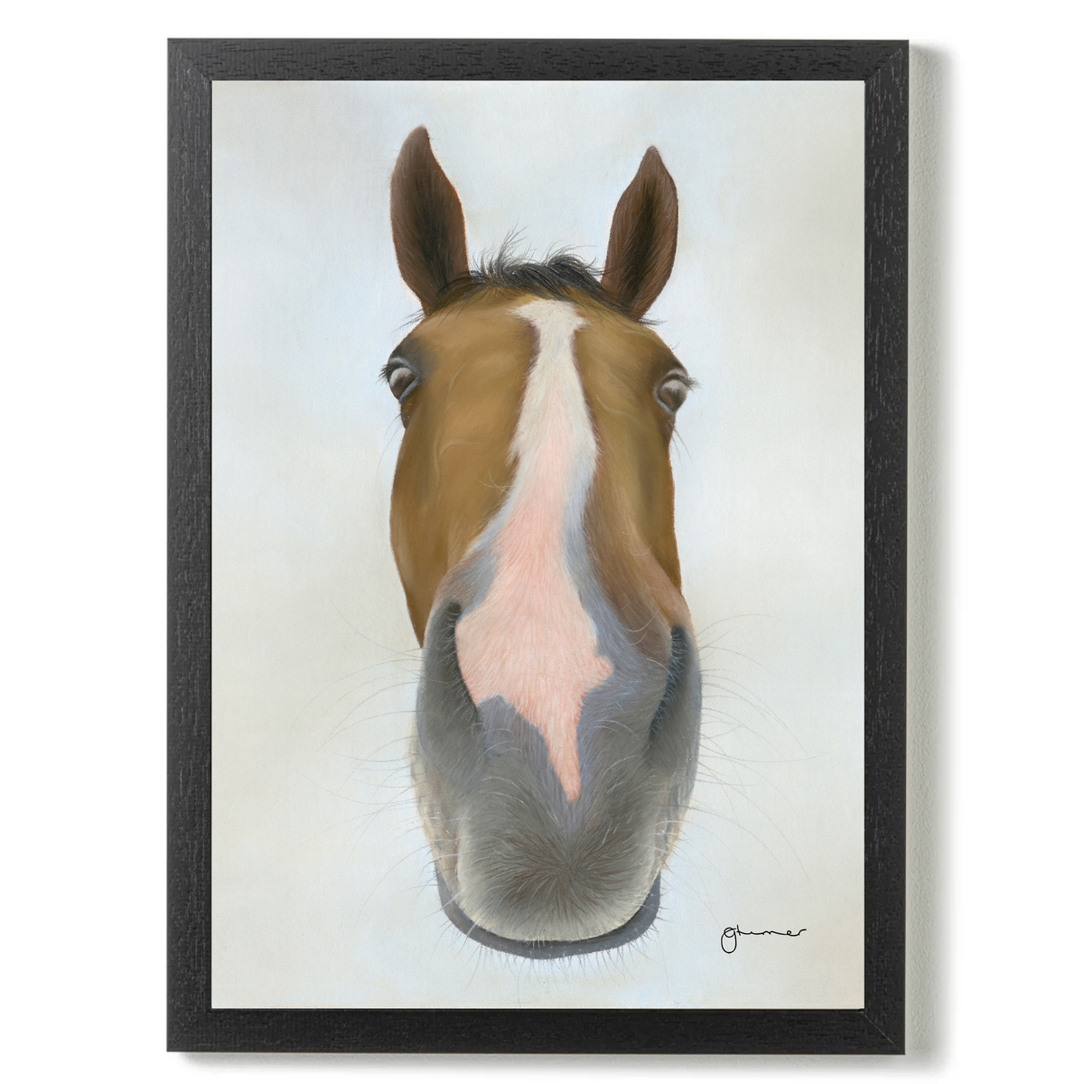 Faugheen by Georgie Turner