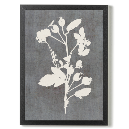 Botanical Illustration 3 by Cartissi