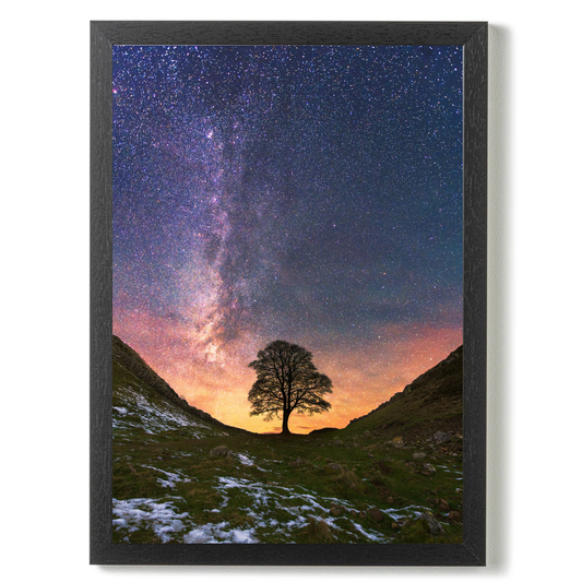 Sycamore Gap with Milky Way by Stevie Robinson