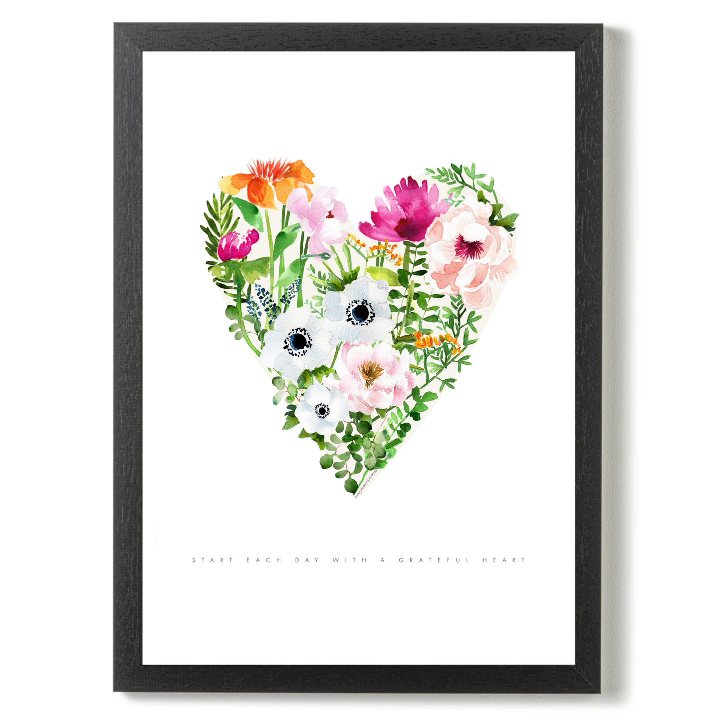 Heart Anemones by Mercedes Lopez