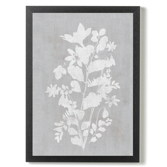 Botanical Illustration 5 by Cartissi