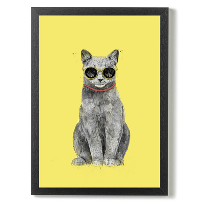 Summer Cat by Balazs Solti