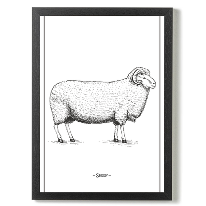 Sheep by Jason Stanley