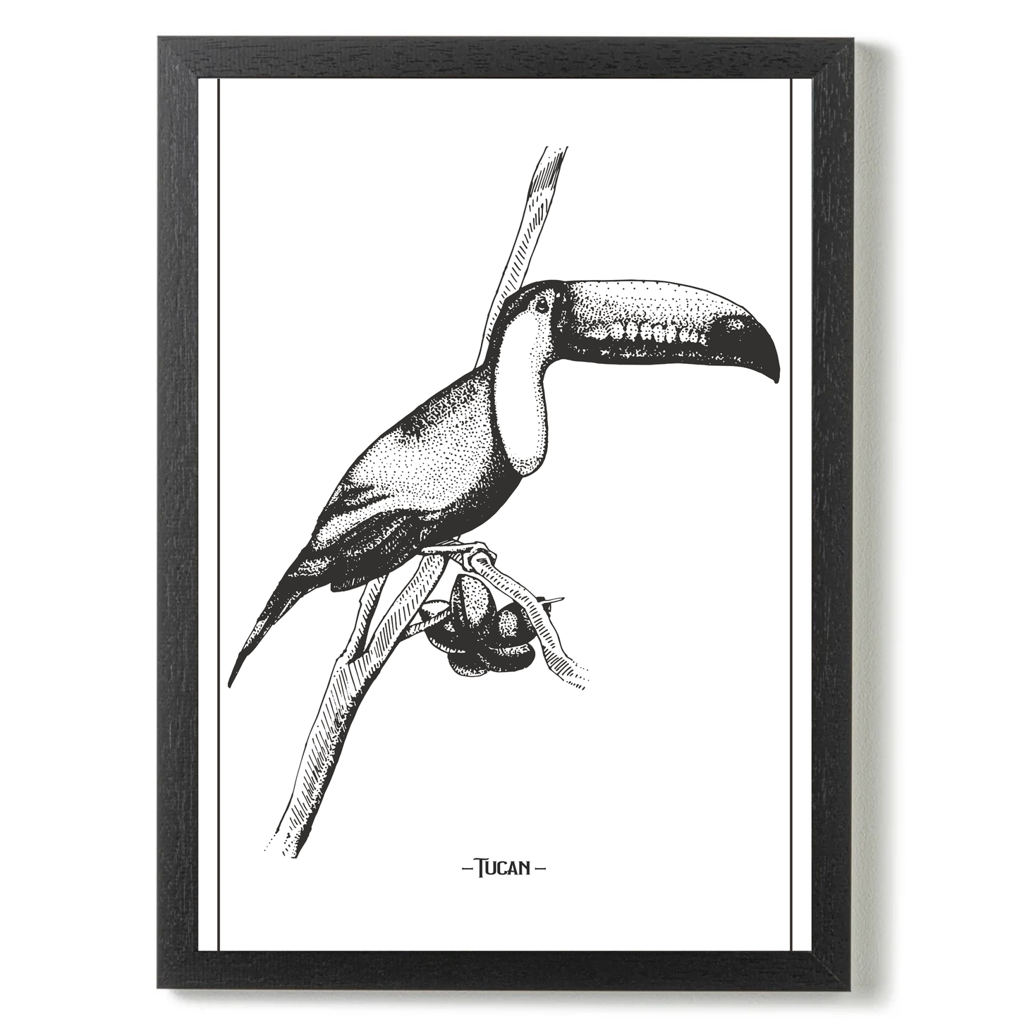 Tucan 3 by Jason Stanley