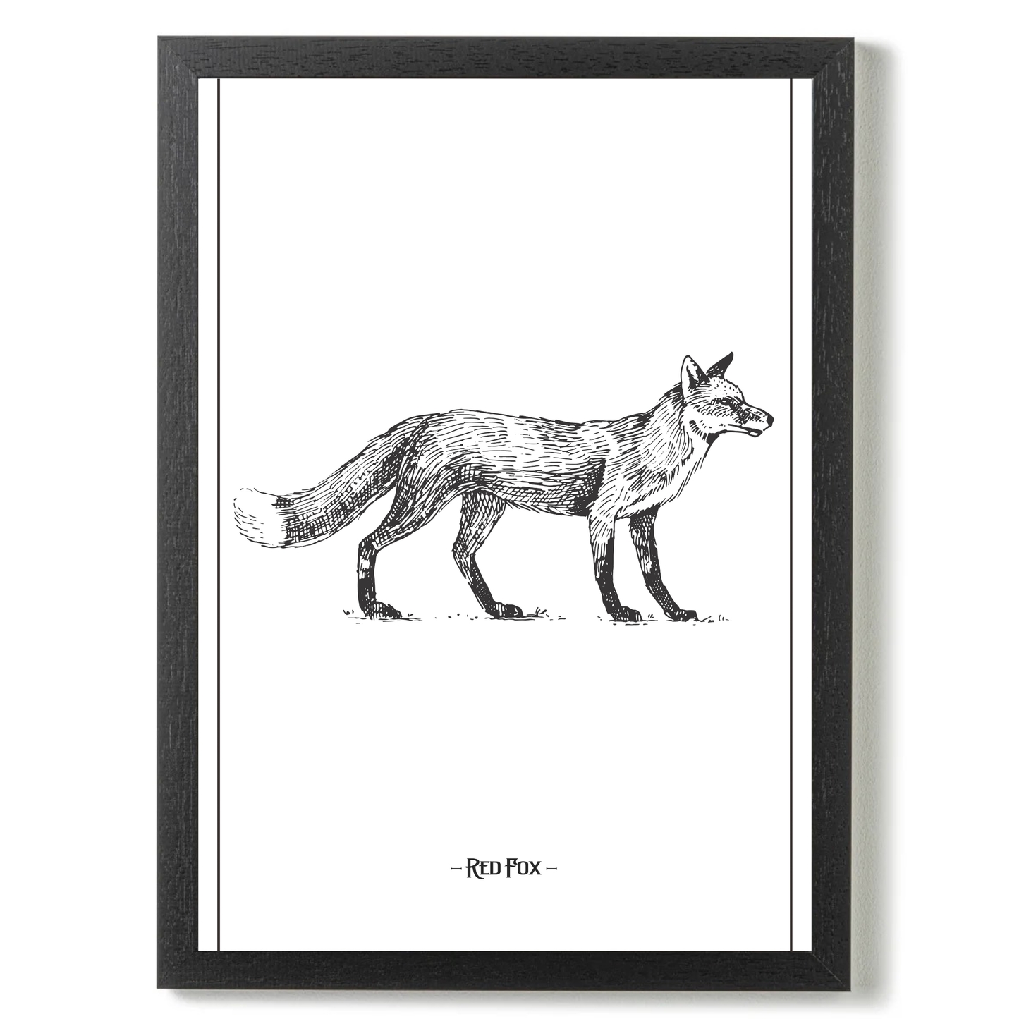 Red Fox by Jason Stanley