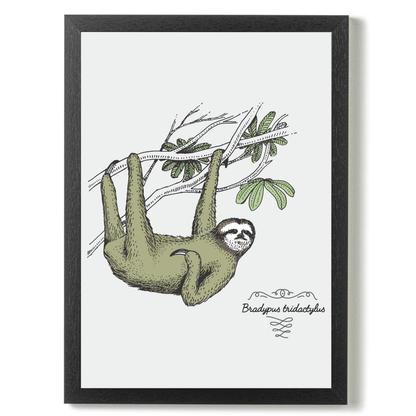 Sloth by Jason Stanley