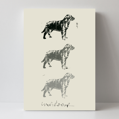 Labrador by Cartissi