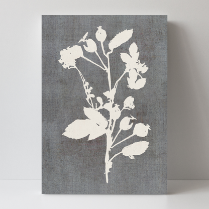 Botanical Illustration 3 by Cartissi