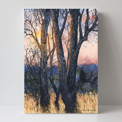 Sundown by Maggie Vandewalle