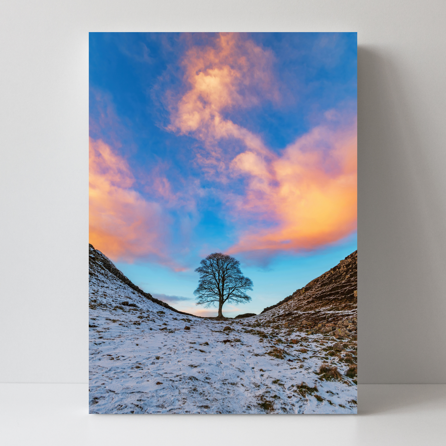 Sycamore Gap In the Golden Hour by Steven Robinson