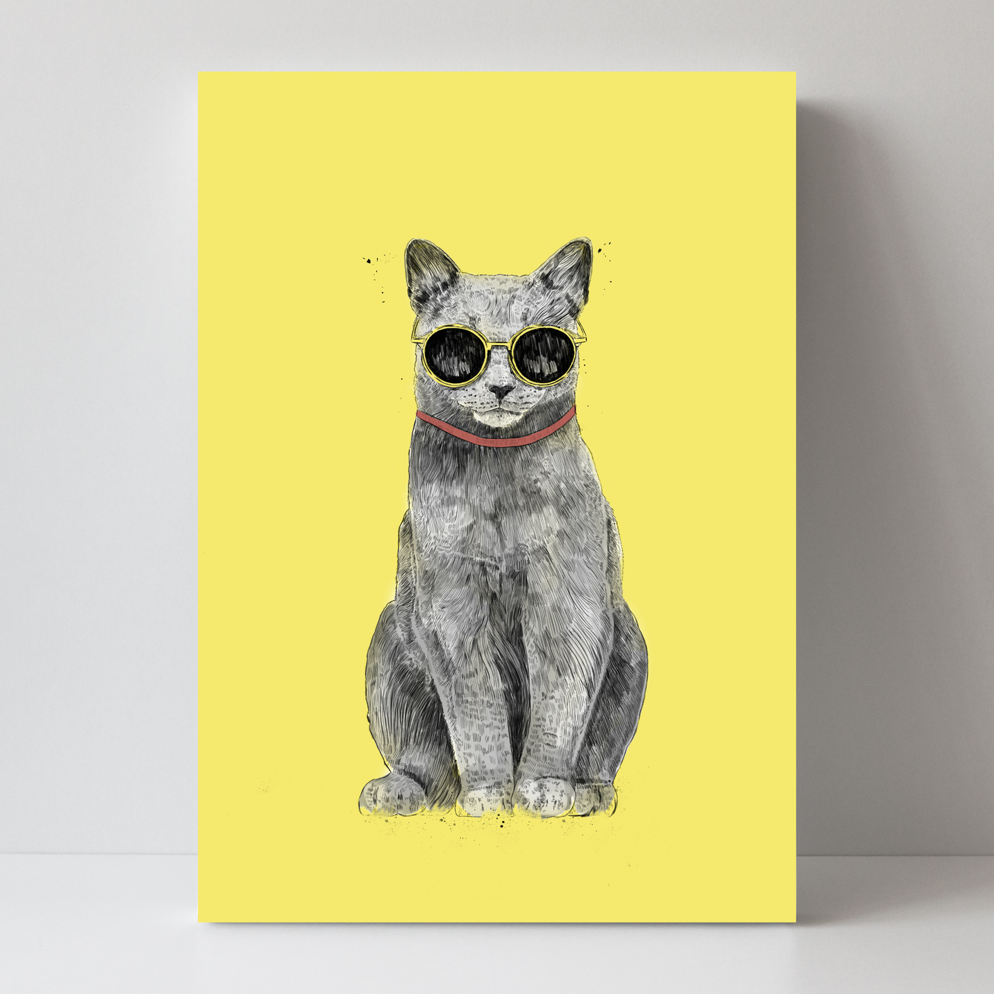 Summer Cat by Balazs Solti