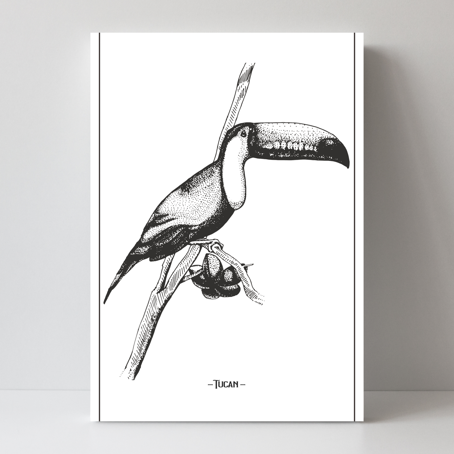 Tucan 3 by Jason Stanley