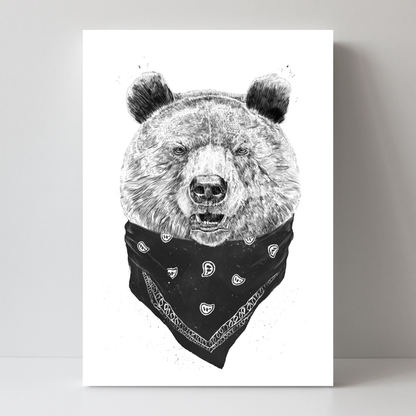 Wild Bear by Balazs Solti