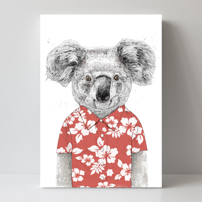 Summer Koala by Balazs Solti