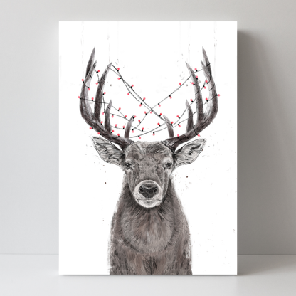 Xmas Deer by Balazs Solti
