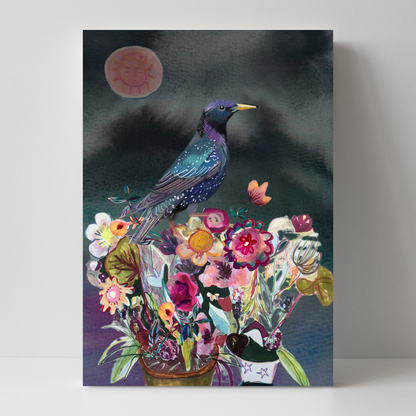 Starling by Claire Westwood