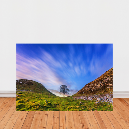 Sycamore Gap at Dusk by Steven Robinson