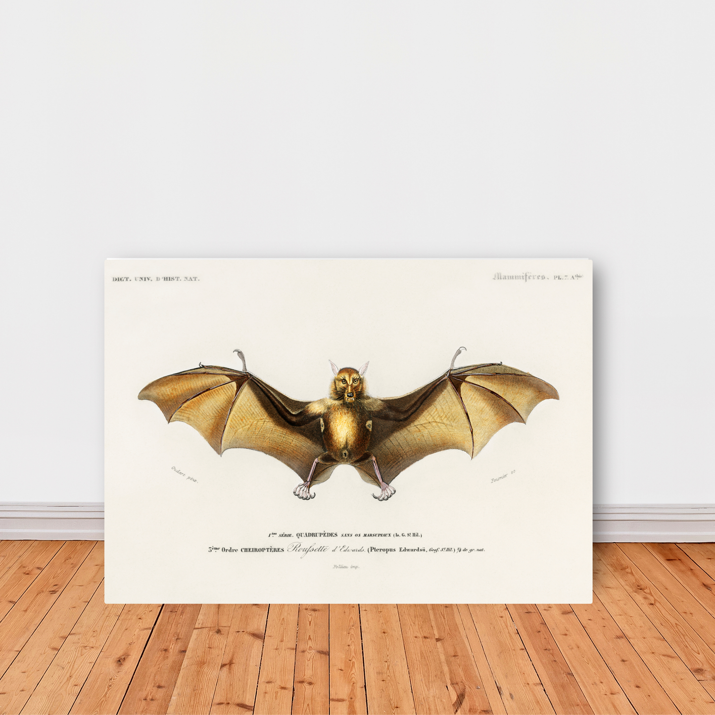 Bat by Jason Stanley
