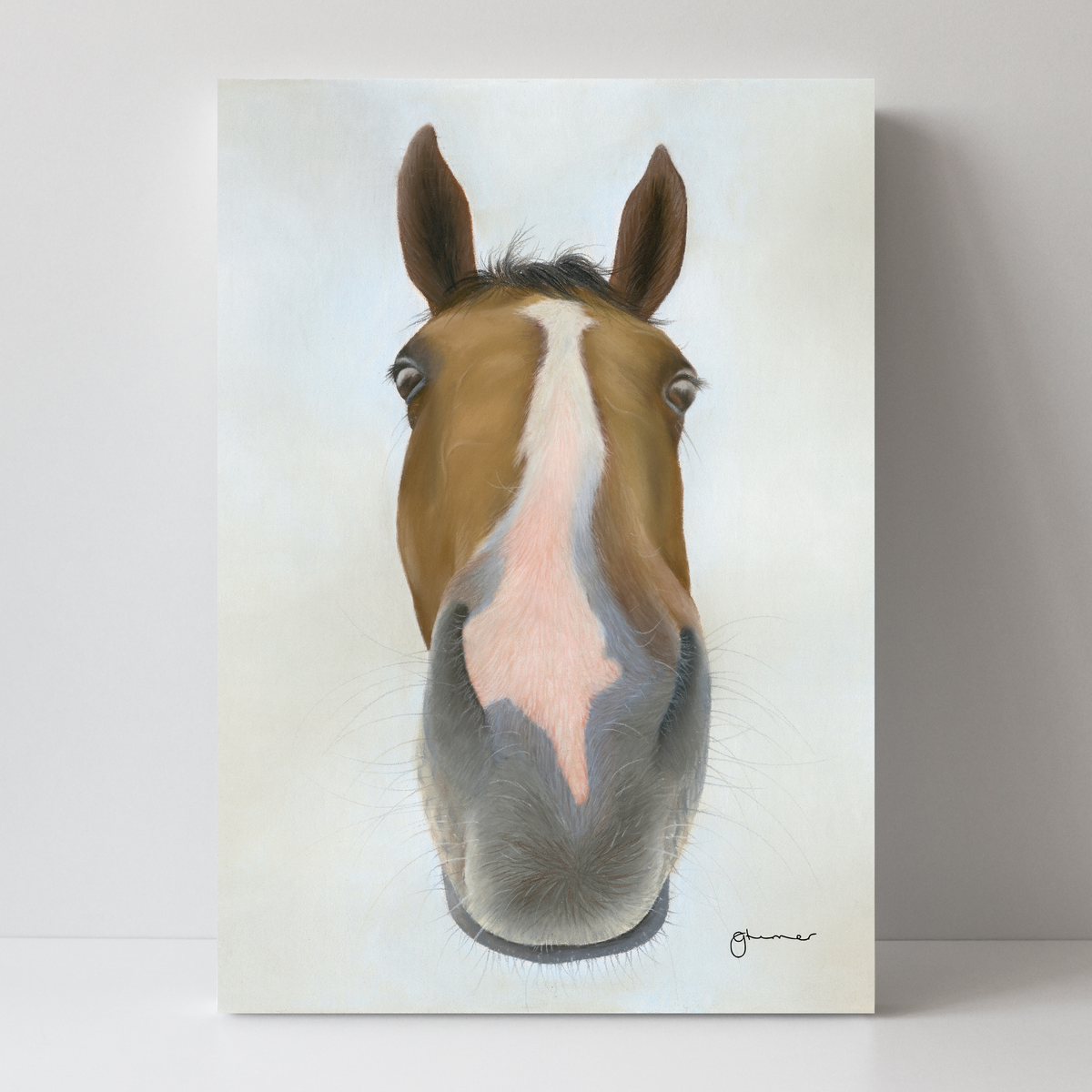 Faugheen by Georgie Turner
