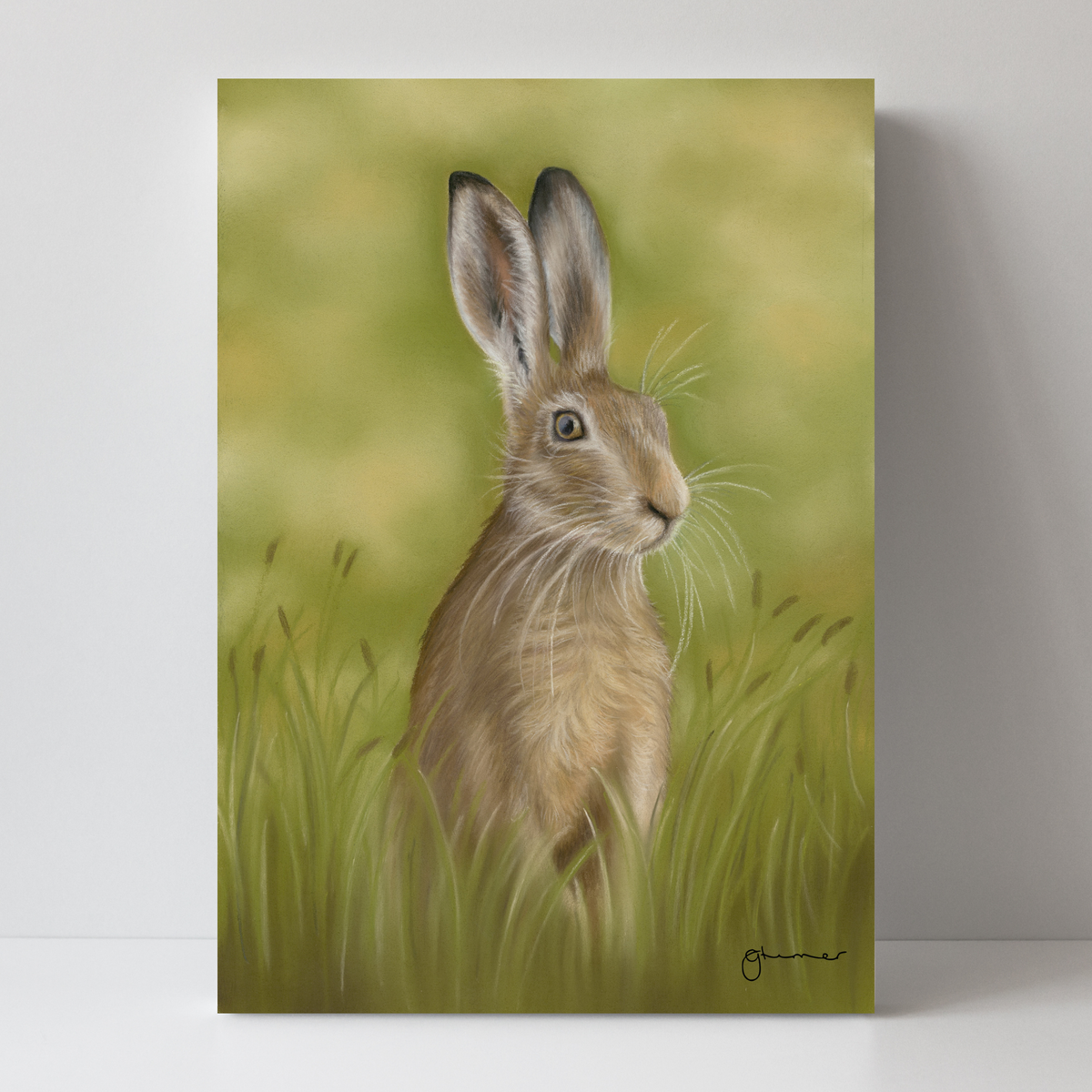 Hare in the Grass by Georgie Turner