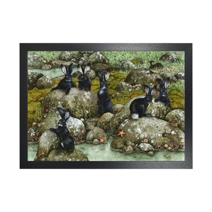 The Black Rabbits of Hy-Brasil by Maggie Vandewalle