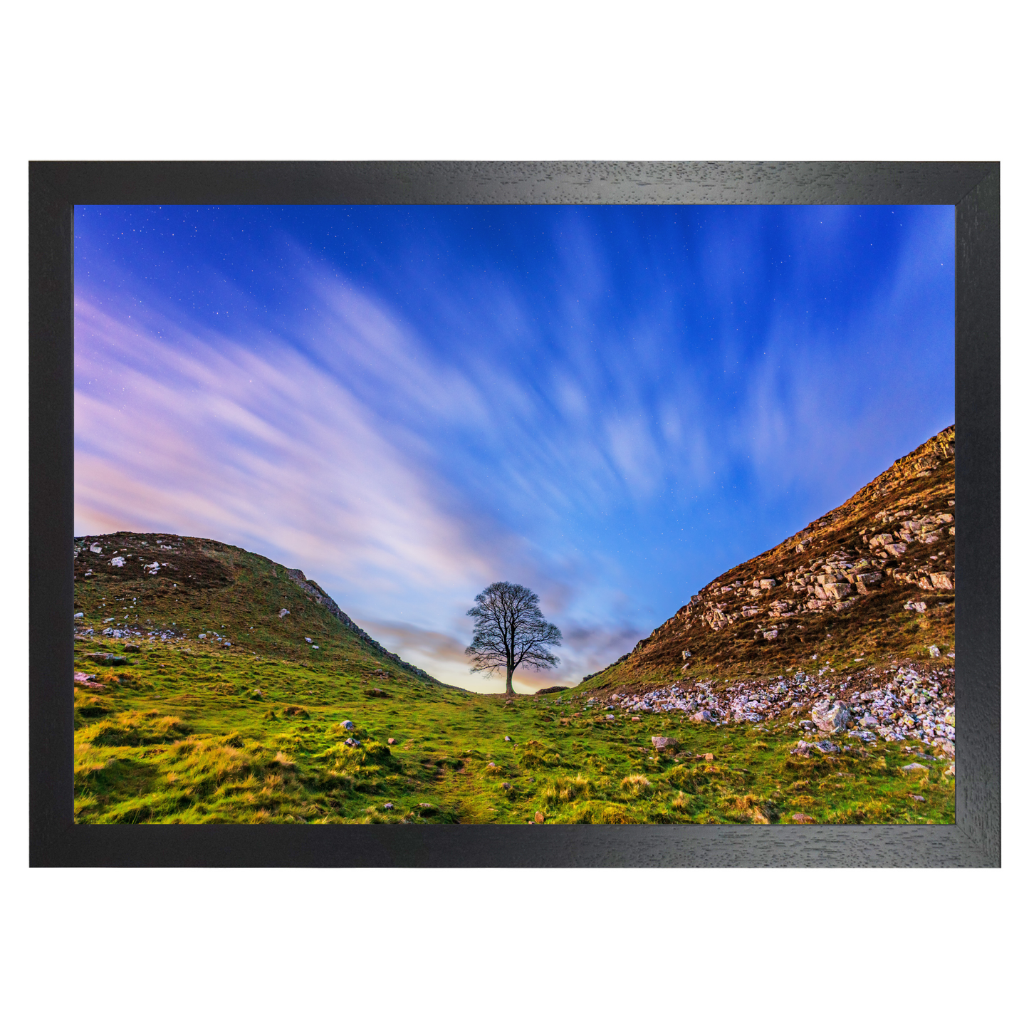 Sycamore Gap at Dusk by Steven Robinson