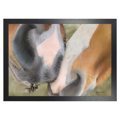 Soft Kisses by Georgie Turner