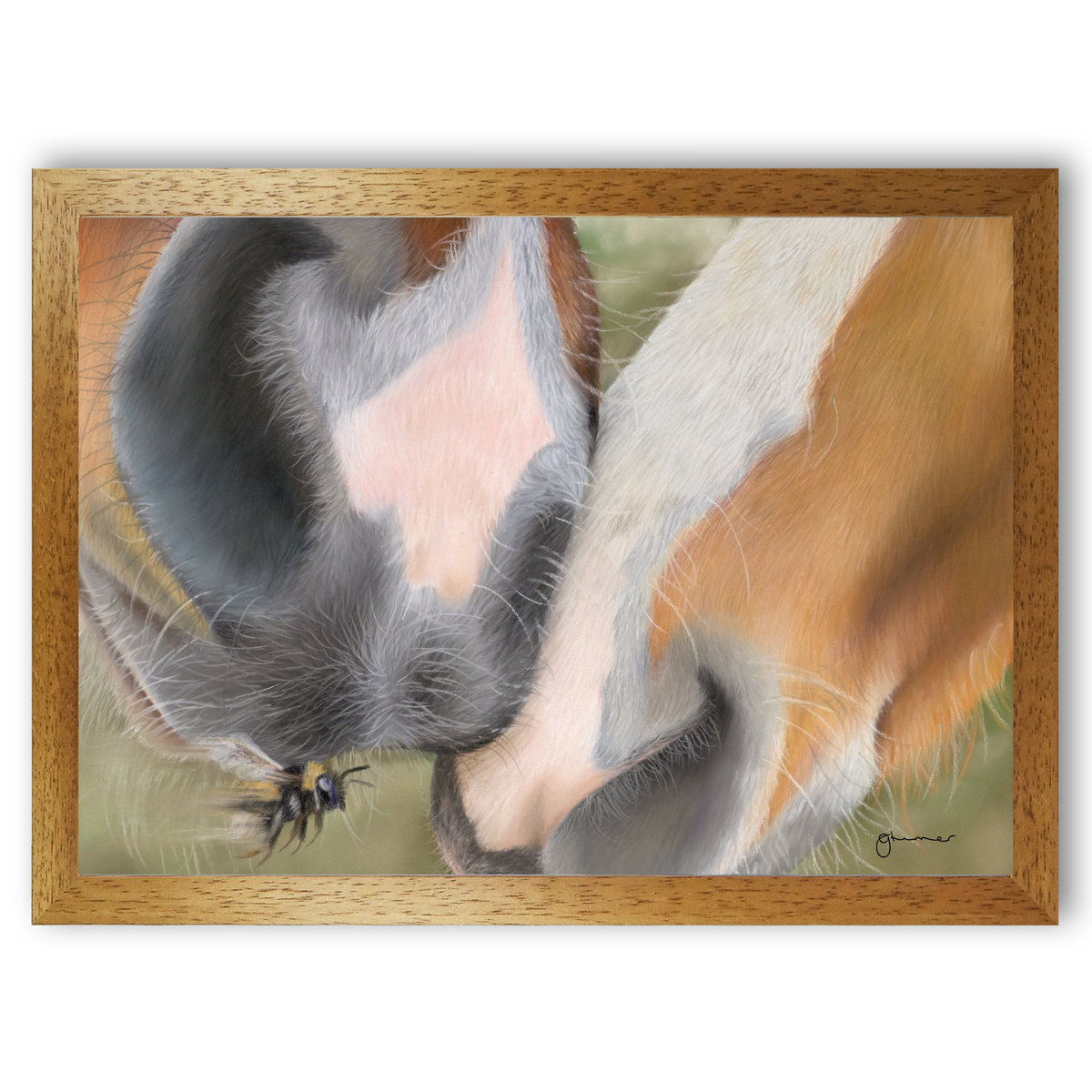 Soft Kisses by Georgie Turner