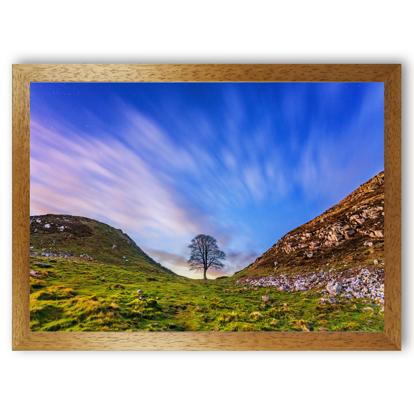 Sycamore Gap at Dusk by Steven Robinson