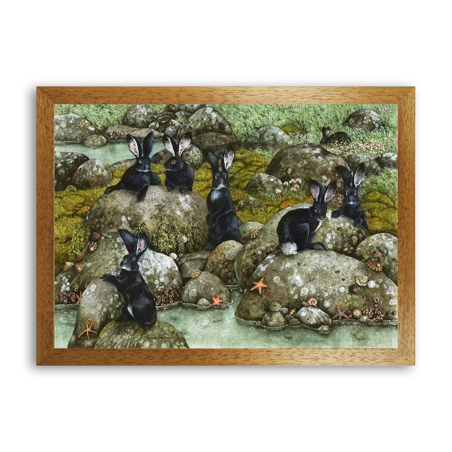 The Black Rabbits of Hy-Brasil by Maggie Vandewalle