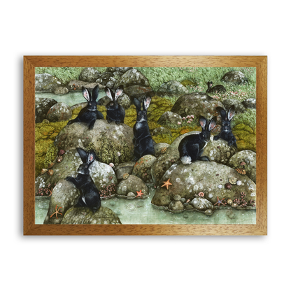 The Black Rabbits of Hy-Brasil by Maggie Vandewalle