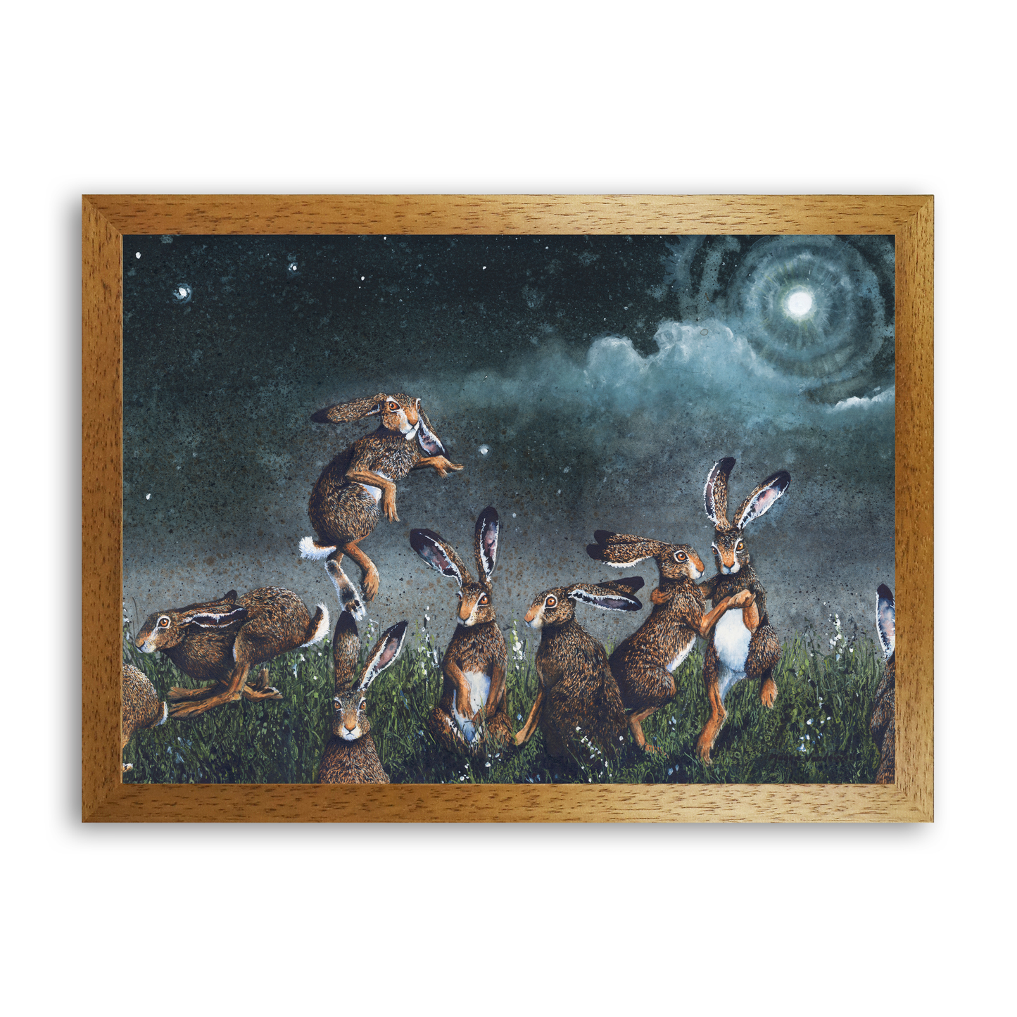 Moondance by Maggie Vandewalle