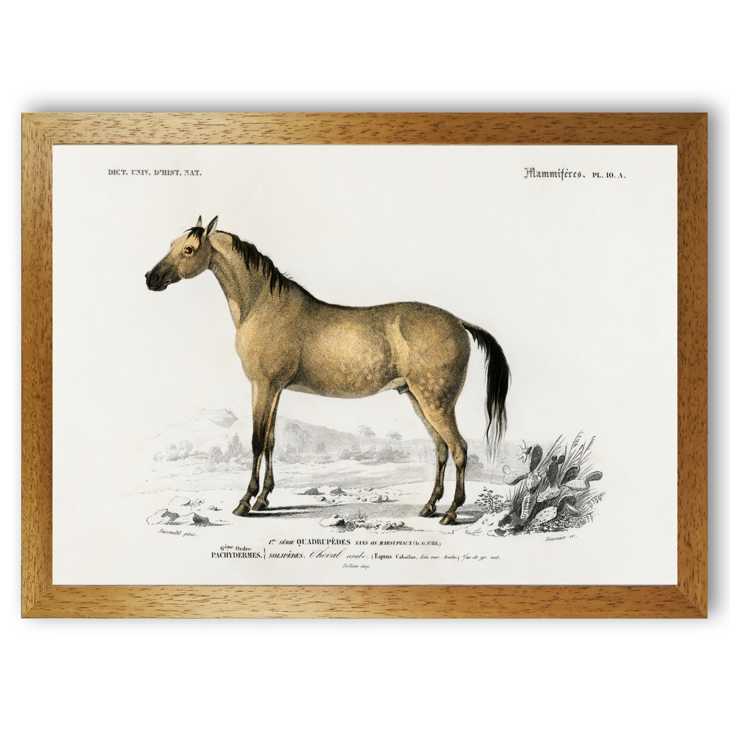 Horse by Jason Stanley
