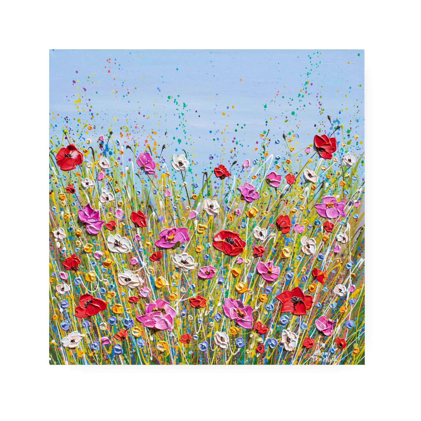 Colourful Poppies by Olga Tkachyk