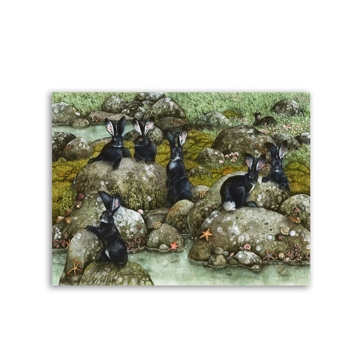 The Black Rabbits of Hy-Brasil by Maggie Vandewalle