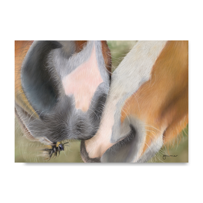Soft Kisses by Georgie Turner
