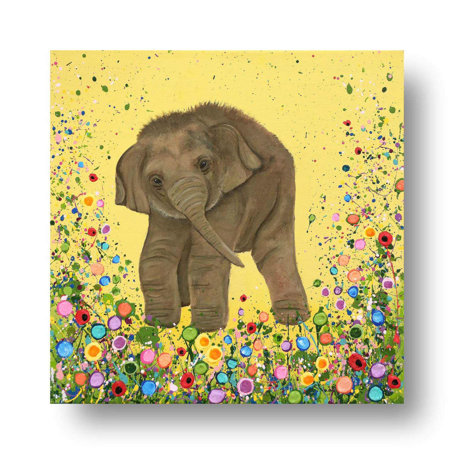 Elephant by Jo Gough
