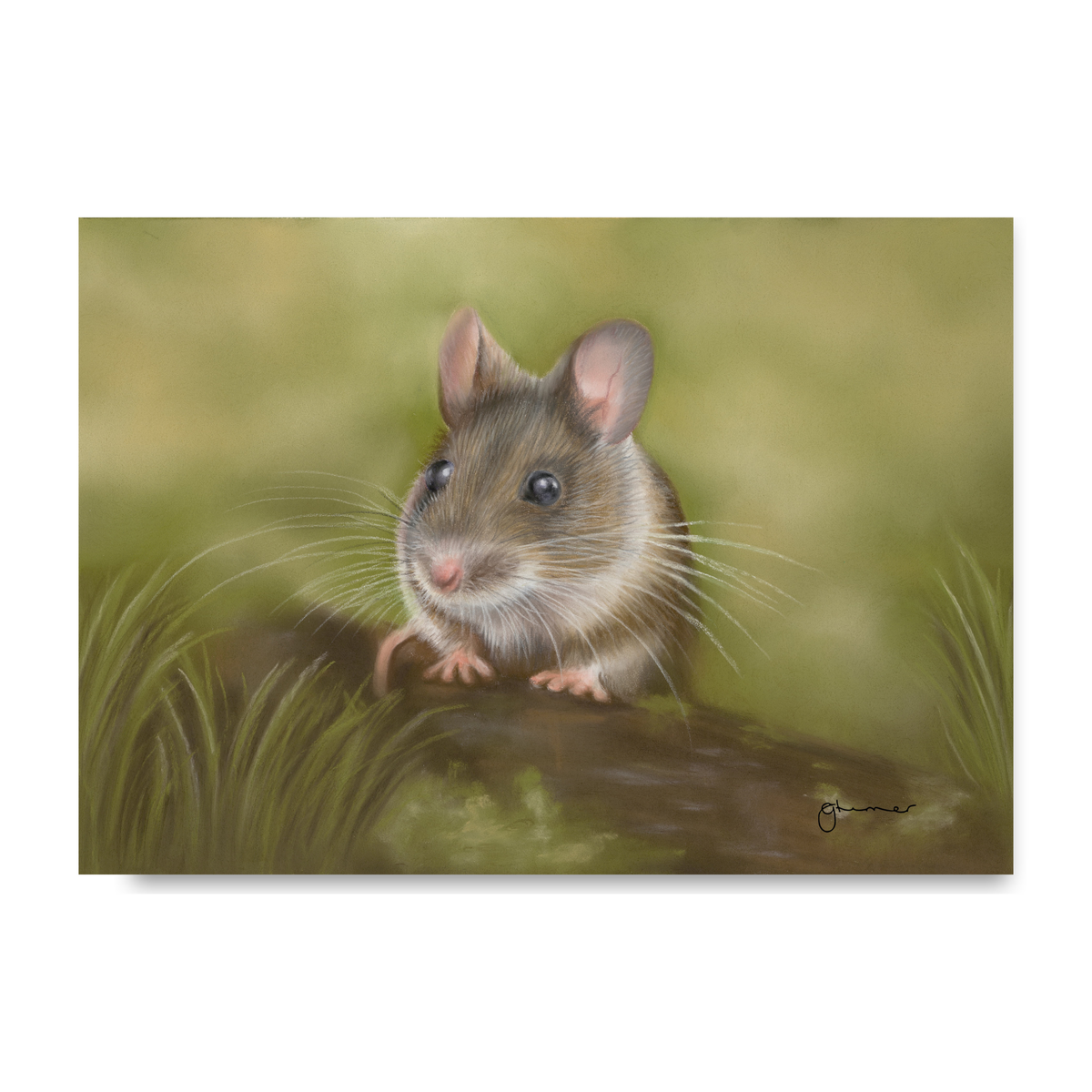 Field Mouse by Georgie Turner