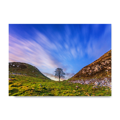Sycamore Gap at Dusk by Steven Robinson