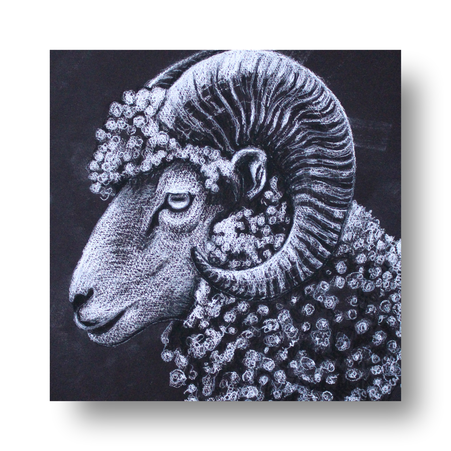 Ram Tekening by STUDIO PAINT-ING
