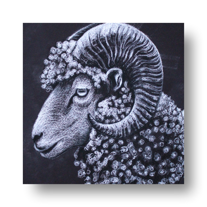 Ram Tekening by STUDIO PAINT-ING