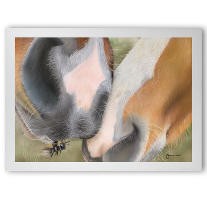 Soft Kisses by Georgie Turner