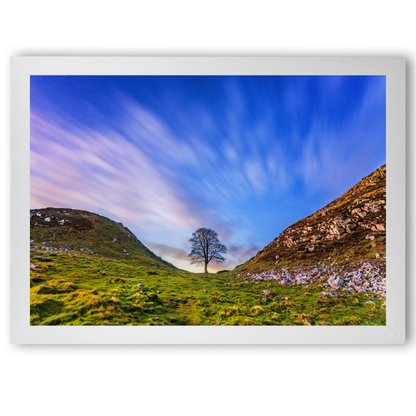 Sycamore Gap at Dusk by Steven Robinson