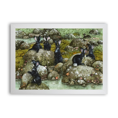 The Black Rabbits of Hy-Brasil by Maggie Vandewalle