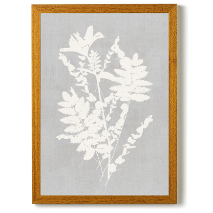 Botanical Illustration 2 by Cartissi