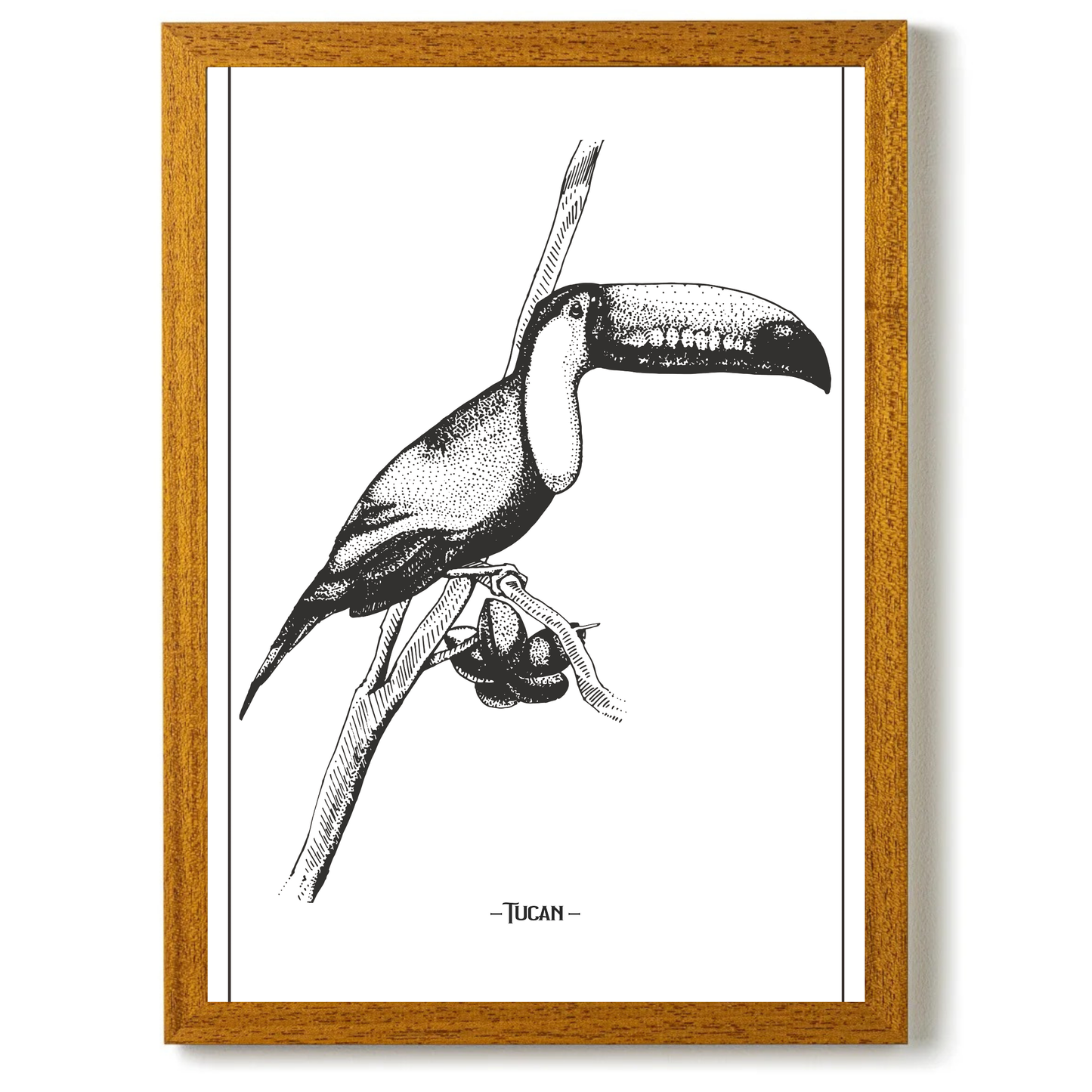 Tucan 3 by Jason Stanley