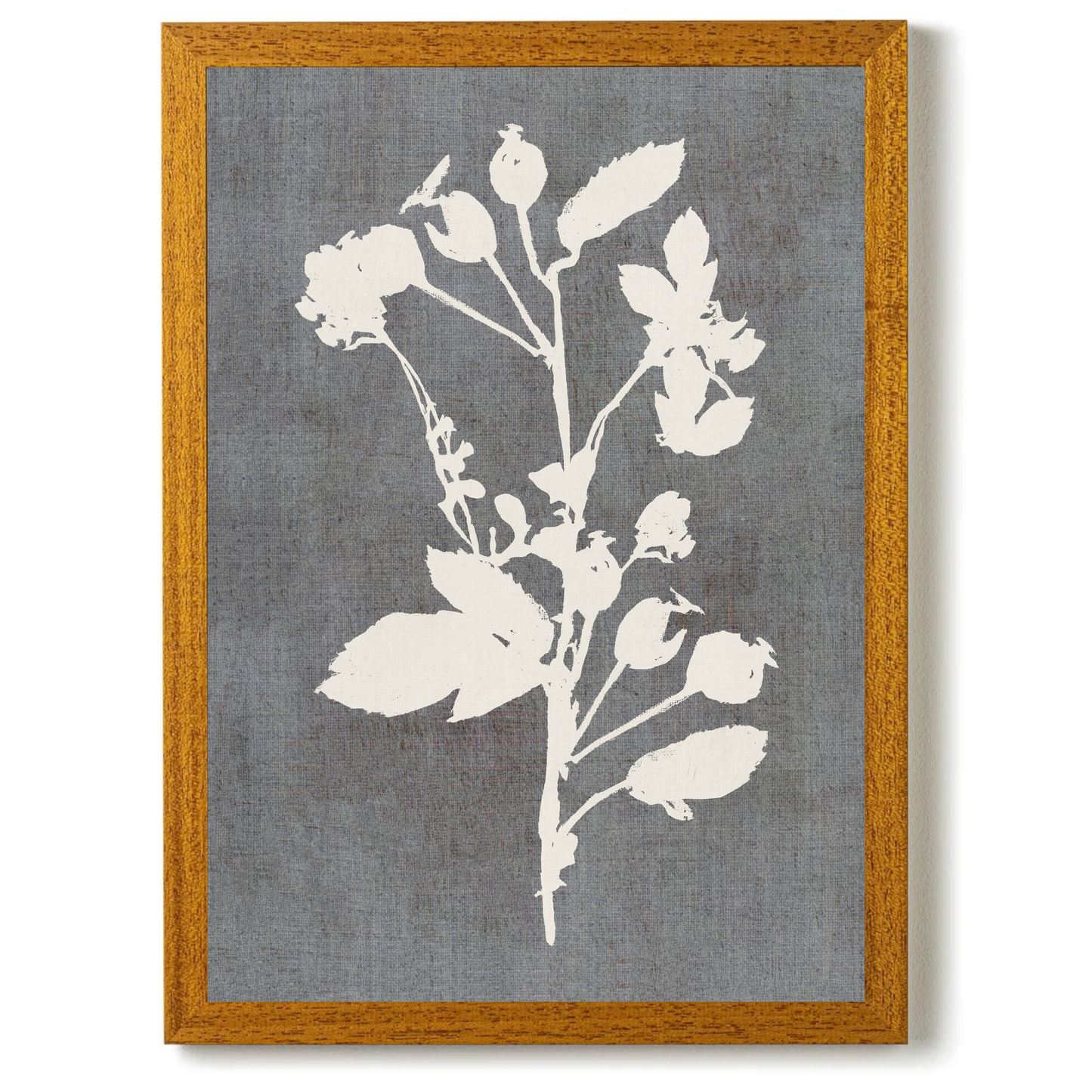 Botanical Illustration 3 by Cartissi